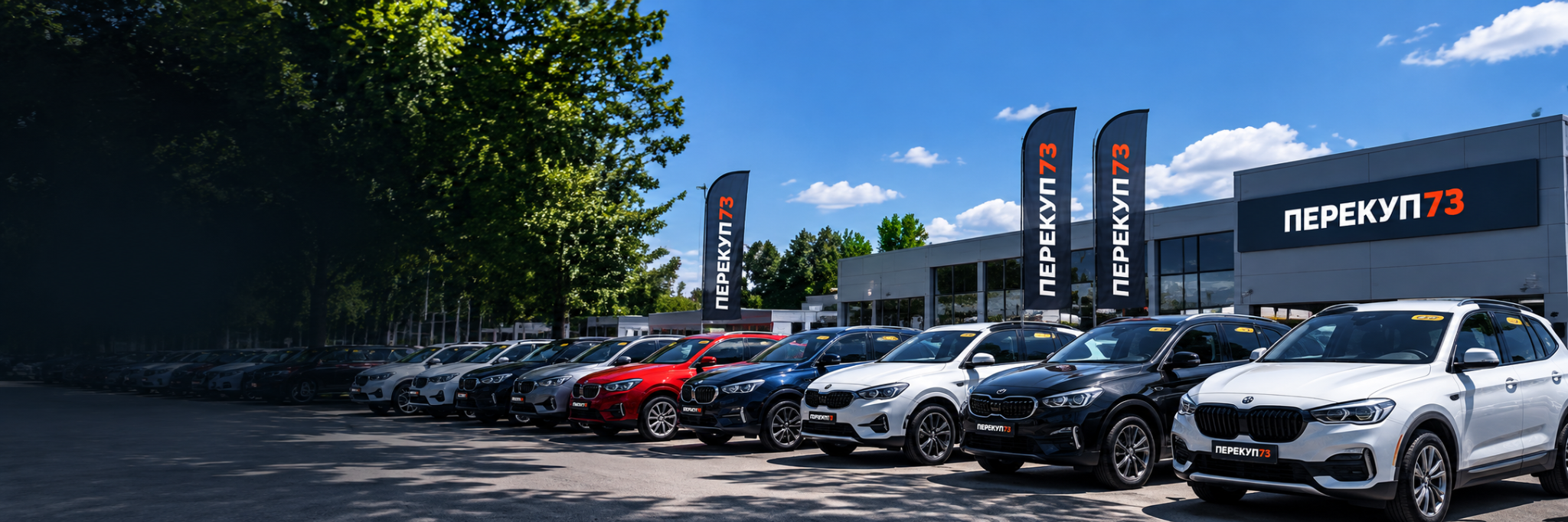 Автомобили на площадке Перекуп73